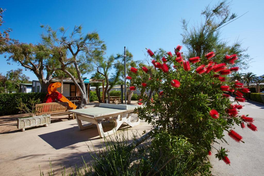 Apartaments Terraza - Salatà Mar Roses Exterior foto